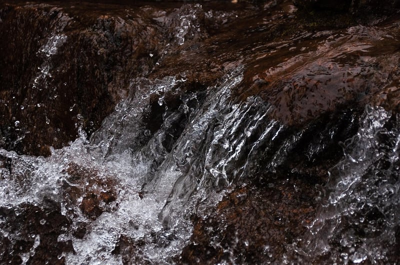 Fluid Movements